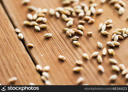 agriculture, farming, harvest and rural economy concept - close up of malt or cereal grains