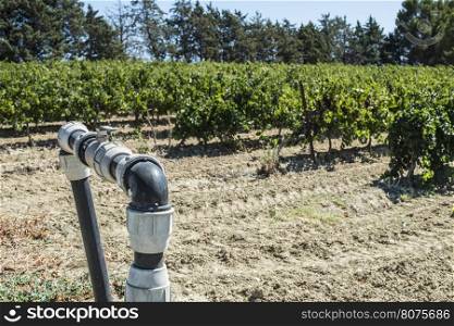 Agriculture faucet on vineyards