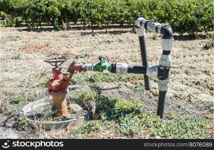 Agriculture faucet on vineyards