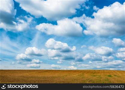 Agriculture field and blue sky with clouds.