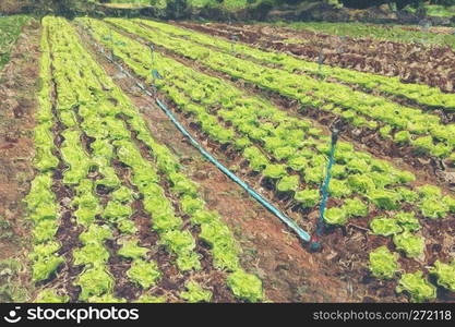 agriculture field concept, Oil painting image