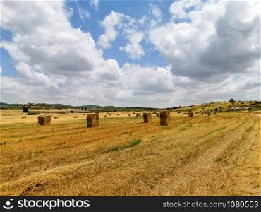 Agriculture field with sky. Countryside natural landscape.