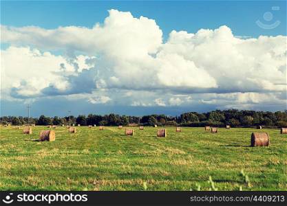 agriculture, harvesting, farming, season and nature concept - haystacks or hay rolls on summer field