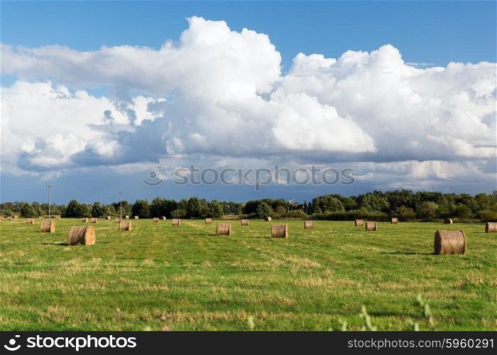 agriculture, harvesting, farming, season and nature concept - haystacks or hay rolls on summer field