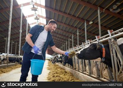agriculture industry, farming, people and animal husbandry concept - happy young man or farmer with bucket and hay feeding herd of cows in cowshed on dairy farm