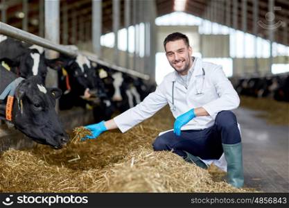 agriculture industry, farming, people and animal husbandry concept - veterinarian or doctor feeding cows in cowshed on dairy farm