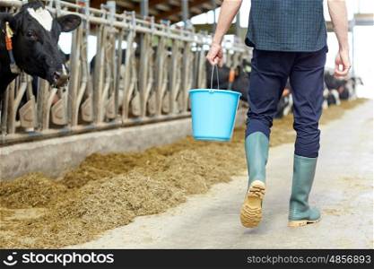 agriculture industry, farming, people and animal husbandry concept - young man or farmer with bucket walking along cowshed and cows on dairy farm