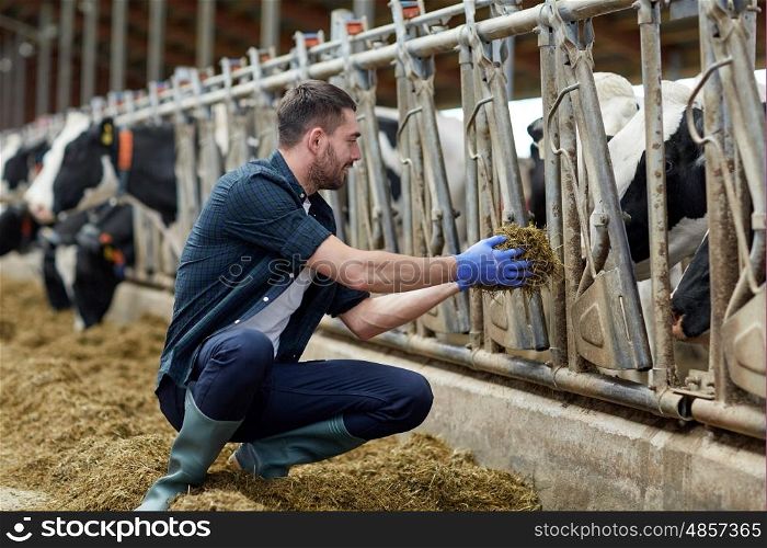 agriculture industry, farming, people and animal husbandry concept - young man or farmer feeding herd of cows with hay in cowshed on dairy farm