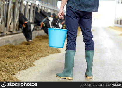 agriculture industry, farming, people and animal husbandry concept - young man or farmer with bucket in cowshed and cows on dairy farm