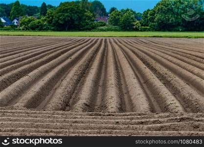 Agriculture landscape. Ploughing field. Freshly planted potato field