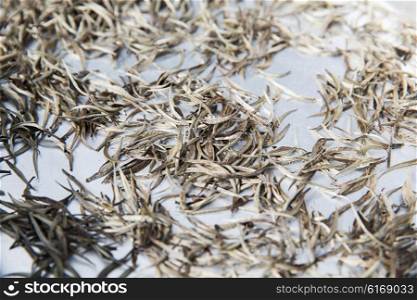 agriculture, manufacture, industry and farming concept - close up of tea raw drying