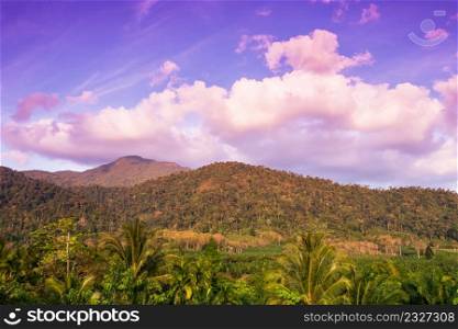 Agriculture nature landscape. Palm oil with coconut trees plantation at sunrise, tropical forest with mountain range backgrounds, beautiful clouds and light blue sky. Scenic landscape in Southeast Asia.