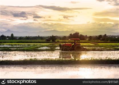 agriculture rice field with Tractor, nature landscape countryside