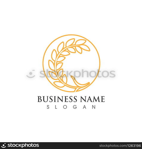 Agriculture wheat logo and symbol vector