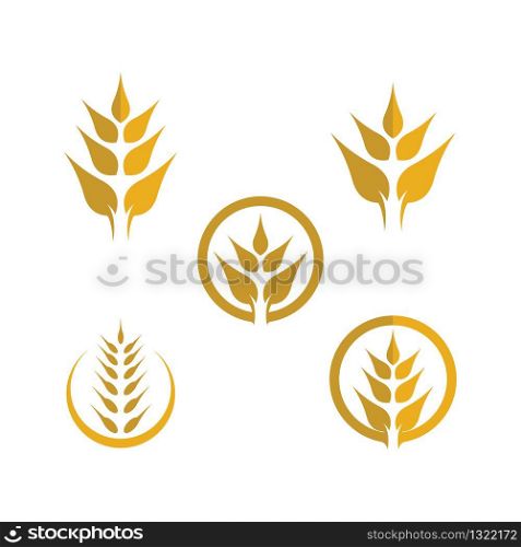 Agriculture wheat logo template vector icon design