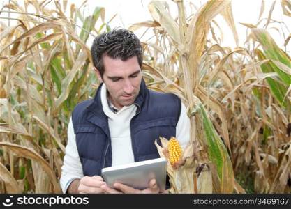 Agronomist analysing cereals with electronic tablet