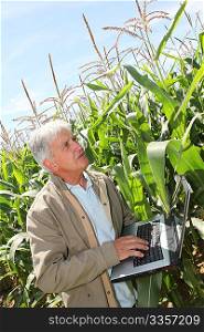Agronomist in corn field with laptop computer