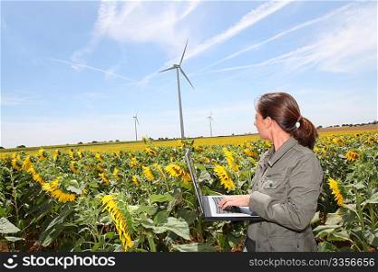 Agronomist in sunflowers field