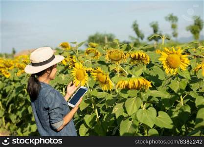 agronomist with a tablet in his hands works in field with sunflowers. make sales online. the girl works in field doing the analysis of growth of plant culture. modern technology. farming concept.