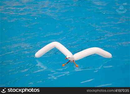 air balloon seagull floating in aqua water pretending to swim