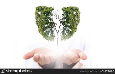 Air pollution. Conceptual image of green tree in hands shaped like human lungs