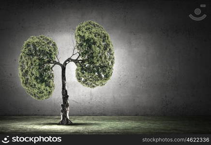 Air pollution. Conceptual image of green tree shaped like human lungs