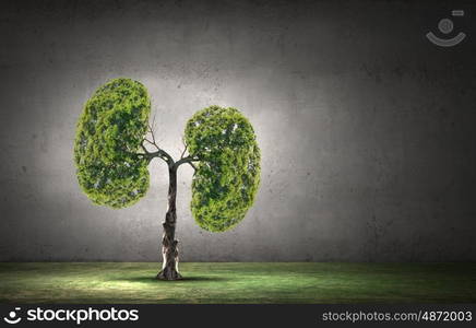 Air pollution. Conceptual image of green tree shaped like human lungs