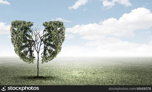 Air pollution. Conceptual image of green tree shaped like human lungs