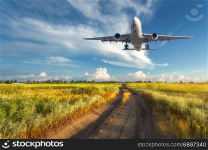 Airplane. Colorful landscape with passenger airplane is flying in the blue sky with clouds over yellow grass field with road at sunset in summer. Passenger airplane is landing. Commercial aircraft