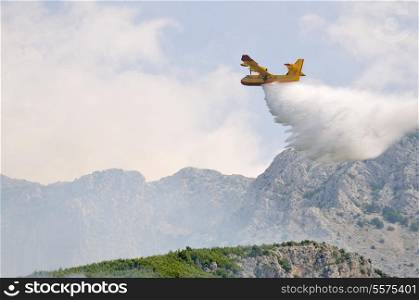 Airplane droping water on fire on island