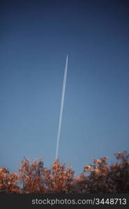 airplane in the sky behind forest