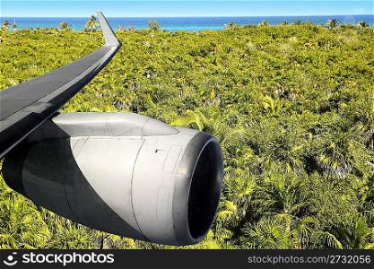 airplane wing aircraft turbine flying over palm trre mangrove jungle
