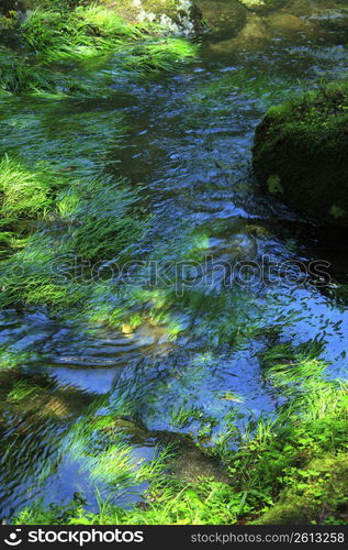 Akameshijuuhattaki ravine