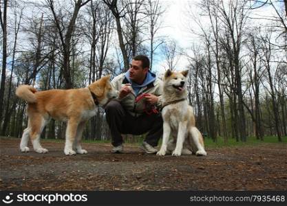 Akita inu female and puppy posing in public park