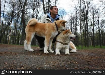 Akita inu female and puppy posing with young man in public park
