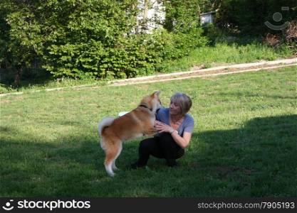Akita Inu puppy playing with lady in village garden