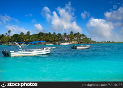 Akumal bay Caribbean beach in Riviera Maya of Mayan Mexico