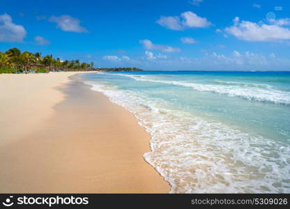 Akumal bay Caribbean beach in Riviera Maya of Mayan Mexico