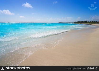 Akumal bay Caribbean beach in Riviera Maya of Mayan Mexico