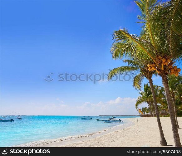 Akumal coconut palm trees beach in Riviera Maya of Mayan Mexico