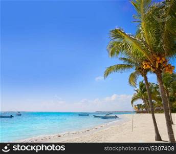 Akumal coconut palm trees beach in Riviera Maya of Mayan Mexico