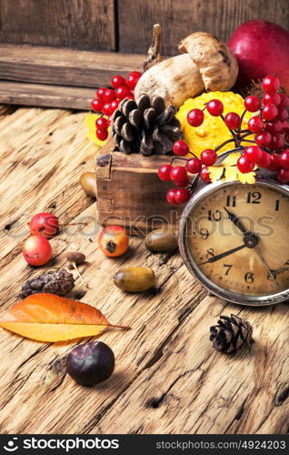 alarm clock and autumn symbols. Retro clock, fallen autumn leaves, pine cone, acorn and viburnum