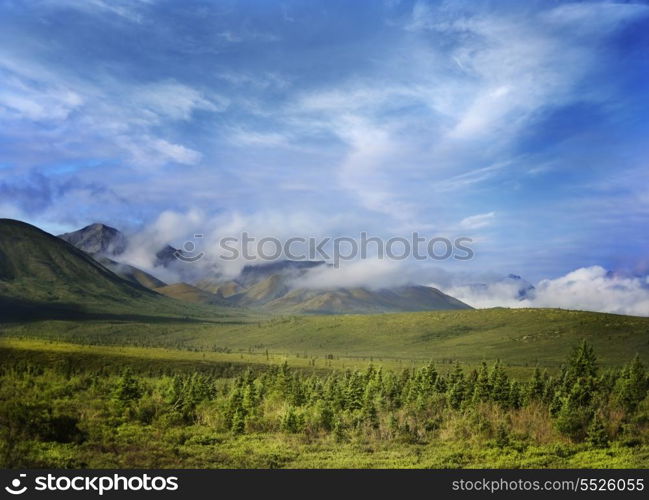 Alaska Landscape In Denali National Park