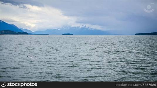 Alaska - Travel Destination - Whale Watching Adventure