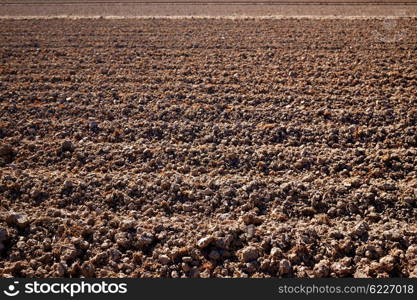 Albufera rice fields dried field in Valencia Spain