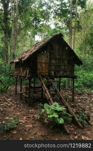 Alfred Russel Wallace shelter in the dense jungle of Raja Ampat, West Papua province, Indonesia