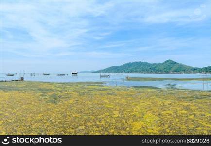 Algal bloom in a tropical ocean and marine fish farming, Thailand