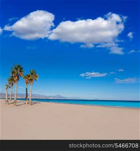 Alicante San Juan beach with palms trees of Mediterranean sea at Spain valencian Community