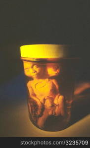 Alien Babies in Jar