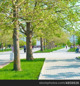 Alley in the green sunny park with grass and trees